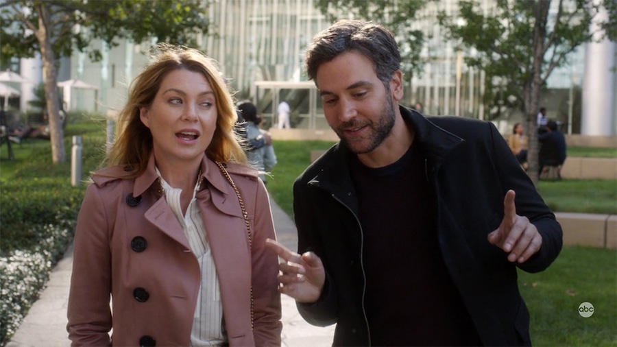 Grey's Anatomy, Josh Radnor